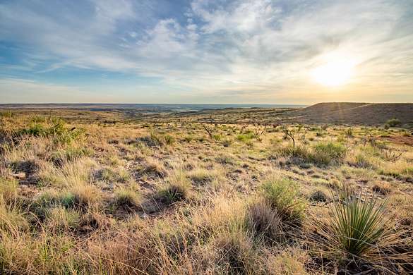 350 Acres of Recreational Land for Sale in Bushland, Texas