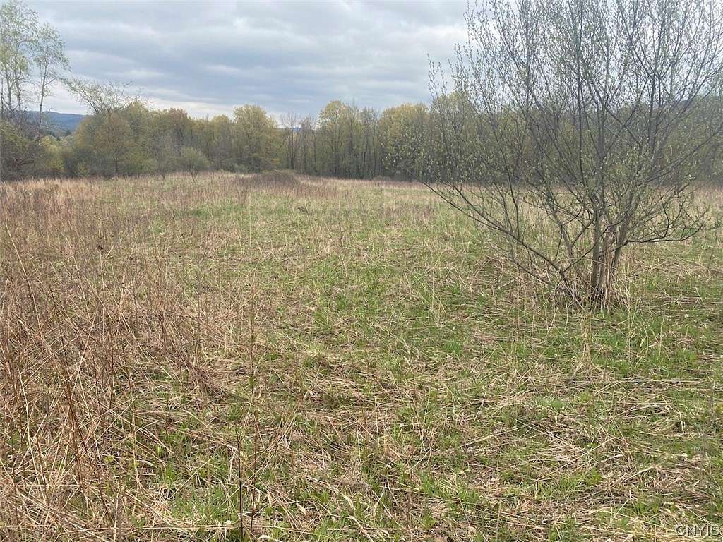 7.8 Acres of Recreational Land for Sale in Friendship, New York