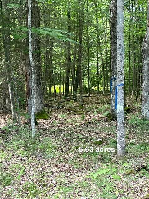 5.6 Acres of Recreational Land for Sale in Malone, New York