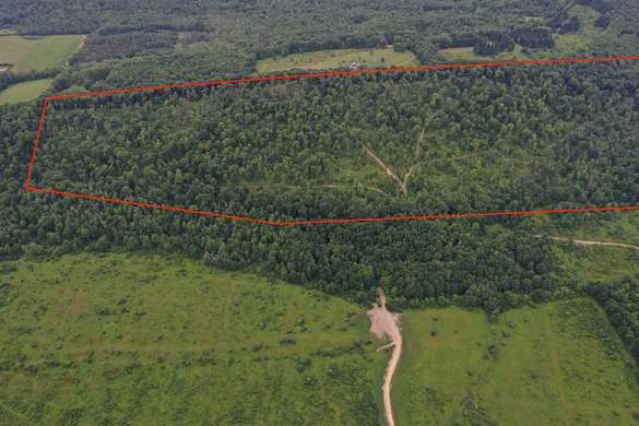 160 Acres of Recreational Land & Farm for Sale in Cuba, New York