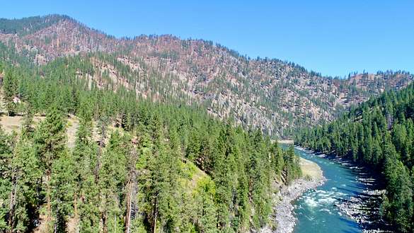 118 Acres of Land for Sale in Dixie, Idaho