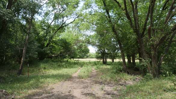 224 Acres of Recreational Land for Sale in Buckholts, Texas