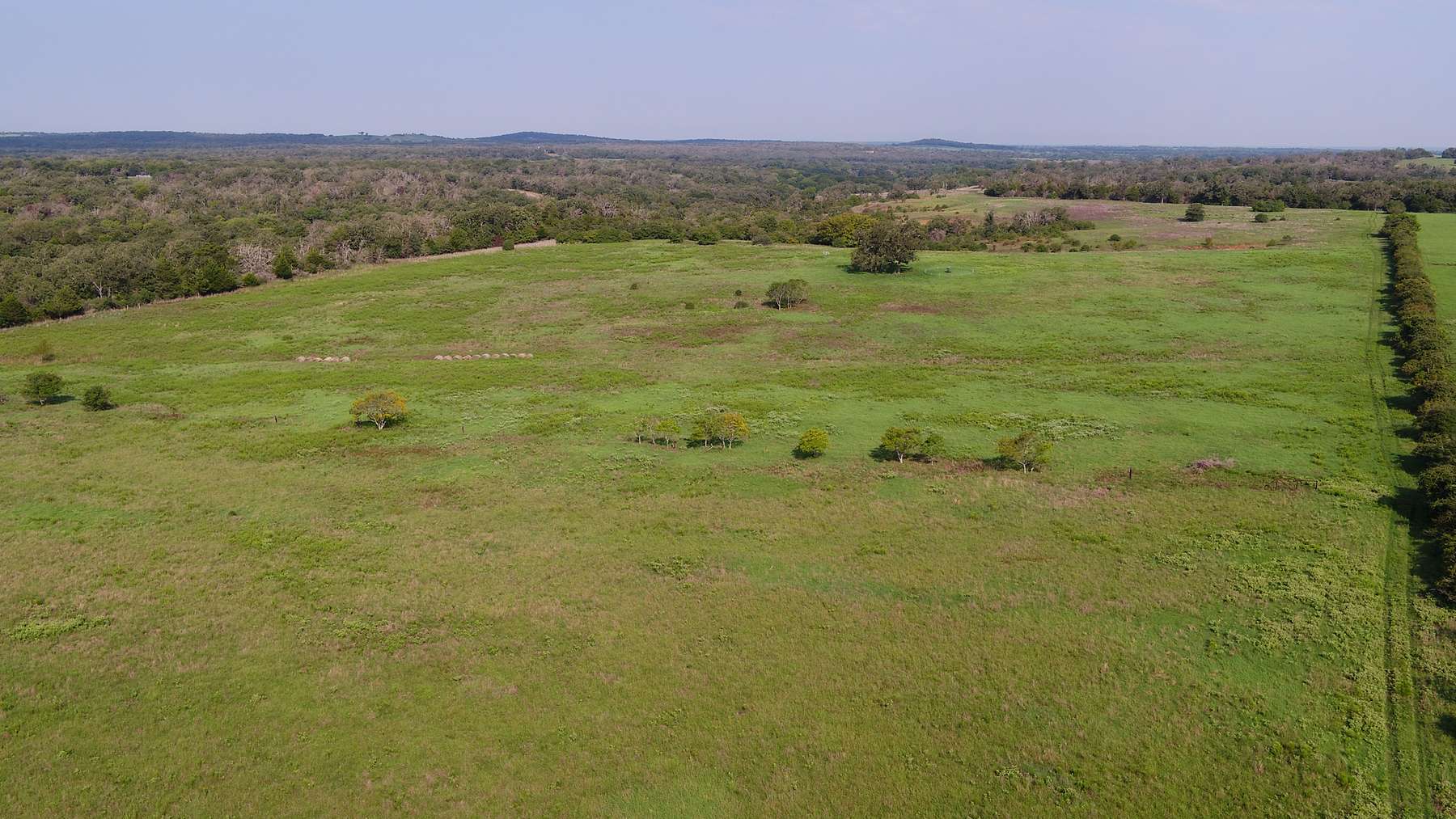 83.4 Acres of Recreational Land & Farm for Sale in Gause, Texas