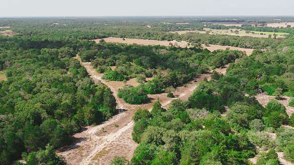 87.7 Acres of Recreational Land for Sale in Caldwell, Texas