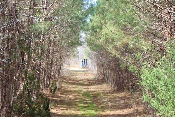 75.2 Acres of Recreational Land & Farm for Sale in Guin, Alabama
