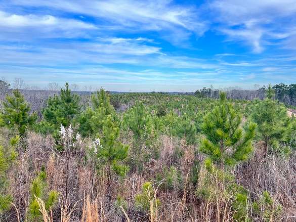 135 Acres of Recreational Land & Farm for Sale in Echola, Alabama