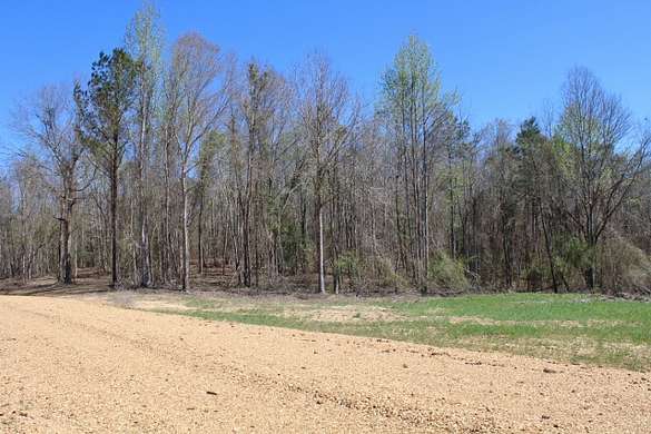 8.65 Acres of Recreational Land for Sale in Gordo, Alabama