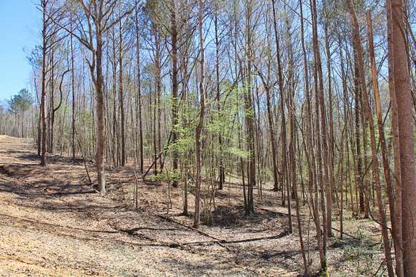 10.2 Acres of Recreational Land for Sale in Gordo, Alabama