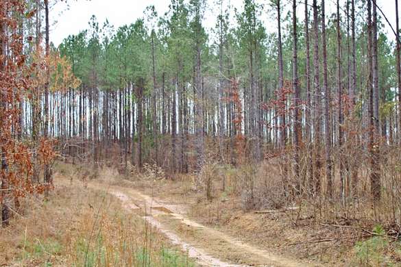 20 Acres of Recreational Land & Farm for Sale in Hamilton, Alabama