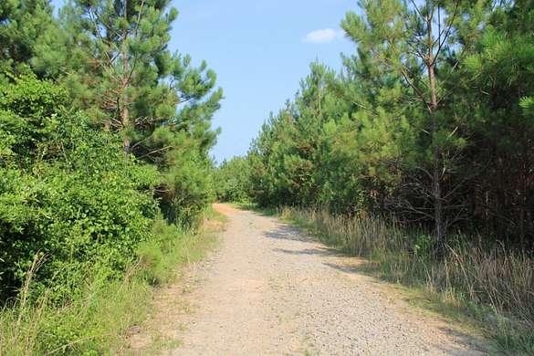 226 Acres of Recreational Land & Farm for Sale in Reform, Alabama