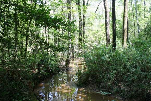 214.17 Acres of Recreational Land & Farm for Sale in Vernon, Alabama
