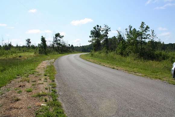 41.4 Acres of Recreational Land & Farm for Sale in Fayette, Alabama