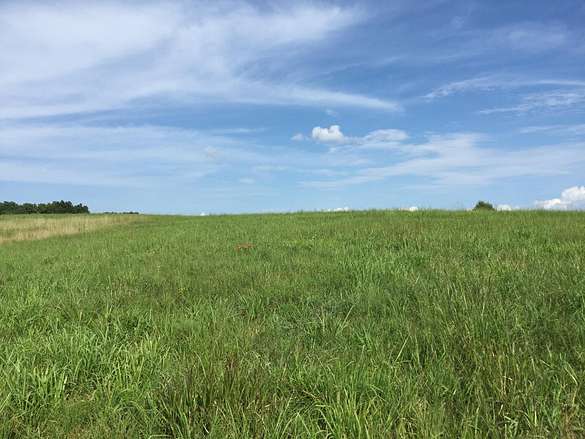 19.3 Acres of Recreational Land & Farm for Sale in Primm Springs, Tennessee