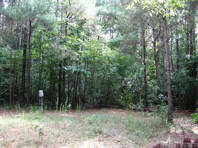 45.5 Acres of Recreational Land & Farm for Sale in Mendenhall, Mississippi