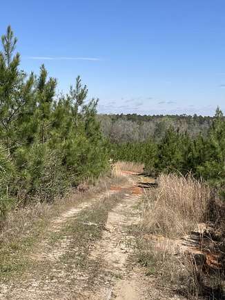 172 Acres of Land for Sale in Hattiesburg, Mississippi