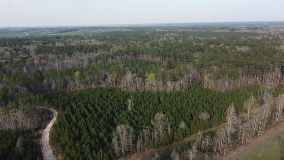 95.5 Acres of Recreational Land & Farm for Sale in Runnelstown, Mississippi