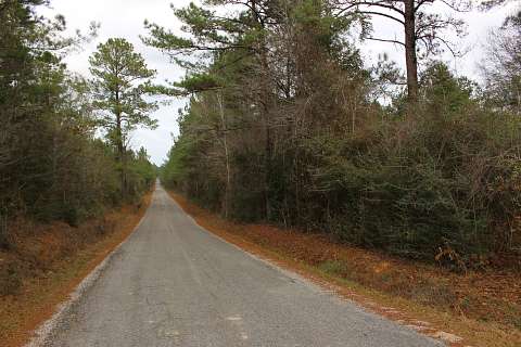 30.8 Acres of Recreational Land & Farm for Sale in Lumberton, Mississippi