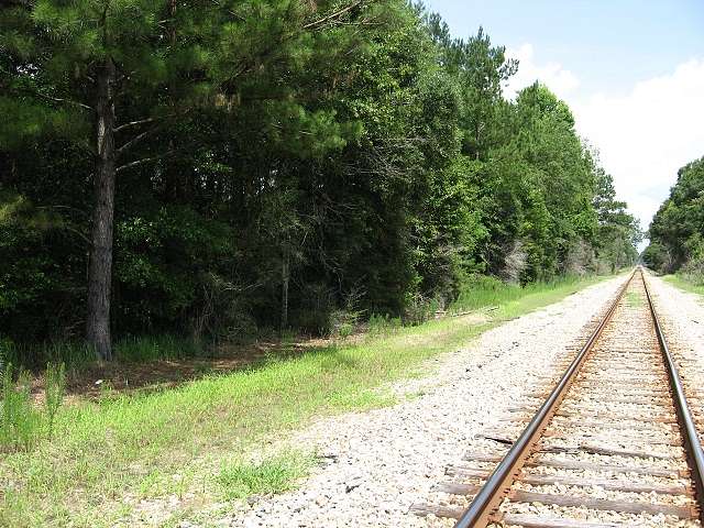 49 Acres of Recreational Land for Sale in McLain, Mississippi