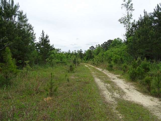 38.7 Acres of Recreational Land & Farm for Sale in Sumrall, Mississippi