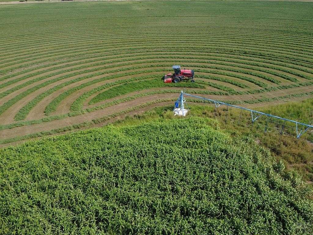 161 Acres of Recreational Land & Farm for Sale in Cheraw, Colorado