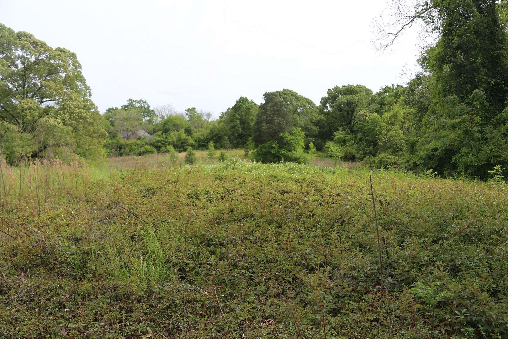 3.7 Acres of Recreational Land for Sale in Montgomery, Alabama