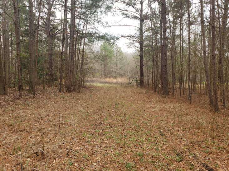 10 Acres of Recreational Land for Sale in Greenville, Alabama