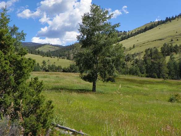 125 Acres of Recreational Land & Farm for Sale in Saguache, Colorado