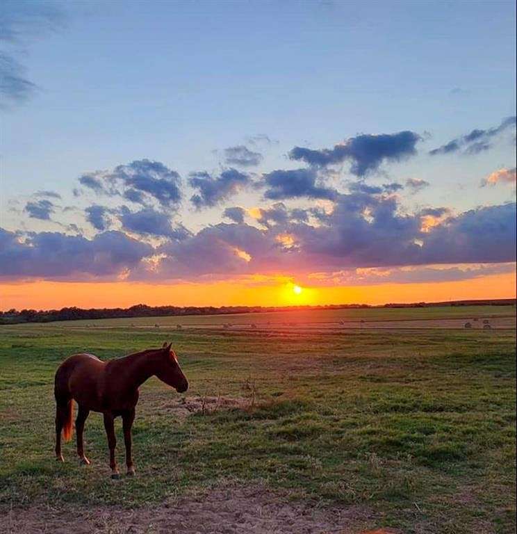 42 Acres of Land with Home for Sale in Rising Star, Texas