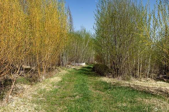 20.9 Acres of Recreational Land for Sale in Pateros, Washington