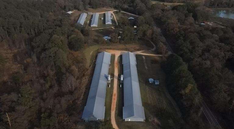 36 Acres of Land for Sale in Morton, Mississippi