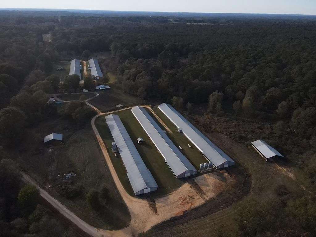 36 Acres of Improved Land for Sale in Raleigh, Mississippi