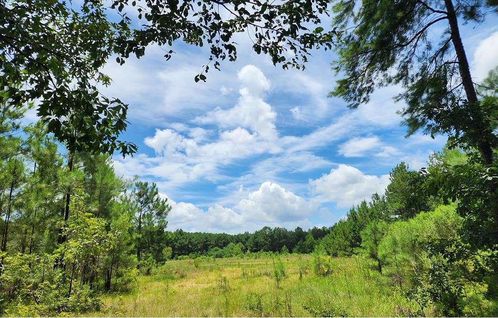 78 Acres of Recreational Land for Sale in Crosby, Mississippi