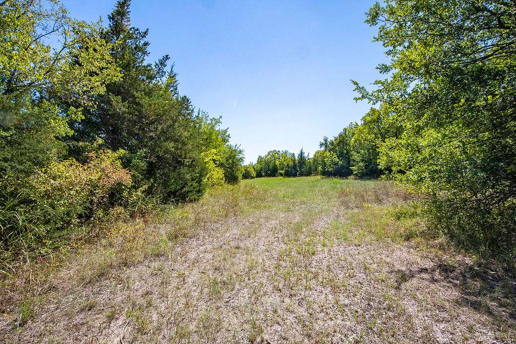 69.8 Acres of Land for Sale in Pattonville, Texas
