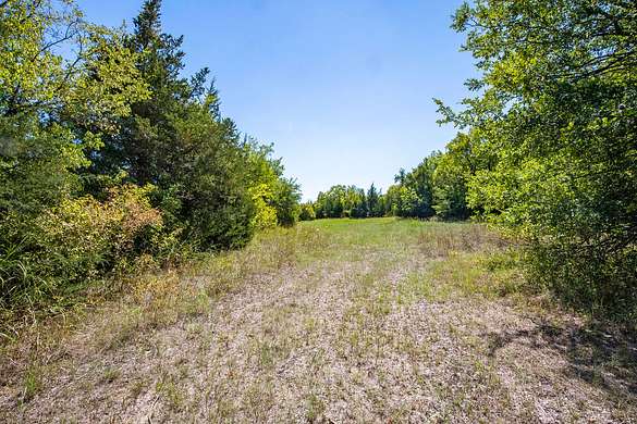 69.82 Acres of Land for Sale in Pattonville, Texas