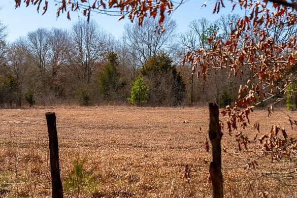 14.1 Acres of Recreational Land for Sale in Bogata, Texas