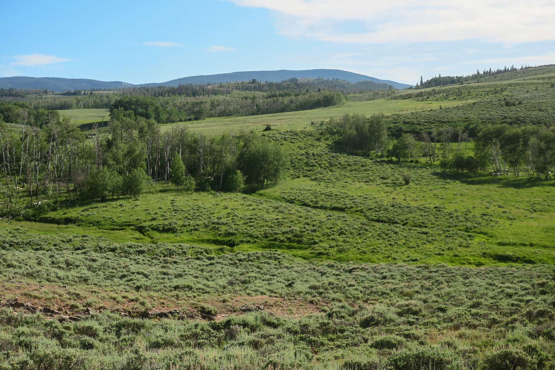 5,450 Acres of Improved Land for Sale in Encampment, Wyoming