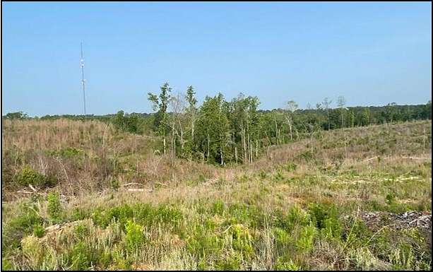 94.8 Acres of Recreational Land for Sale in Carrollton, Mississippi