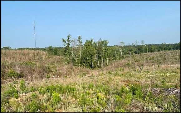 94.8 Acres of Recreational Land for Sale in Carrollton, Mississippi