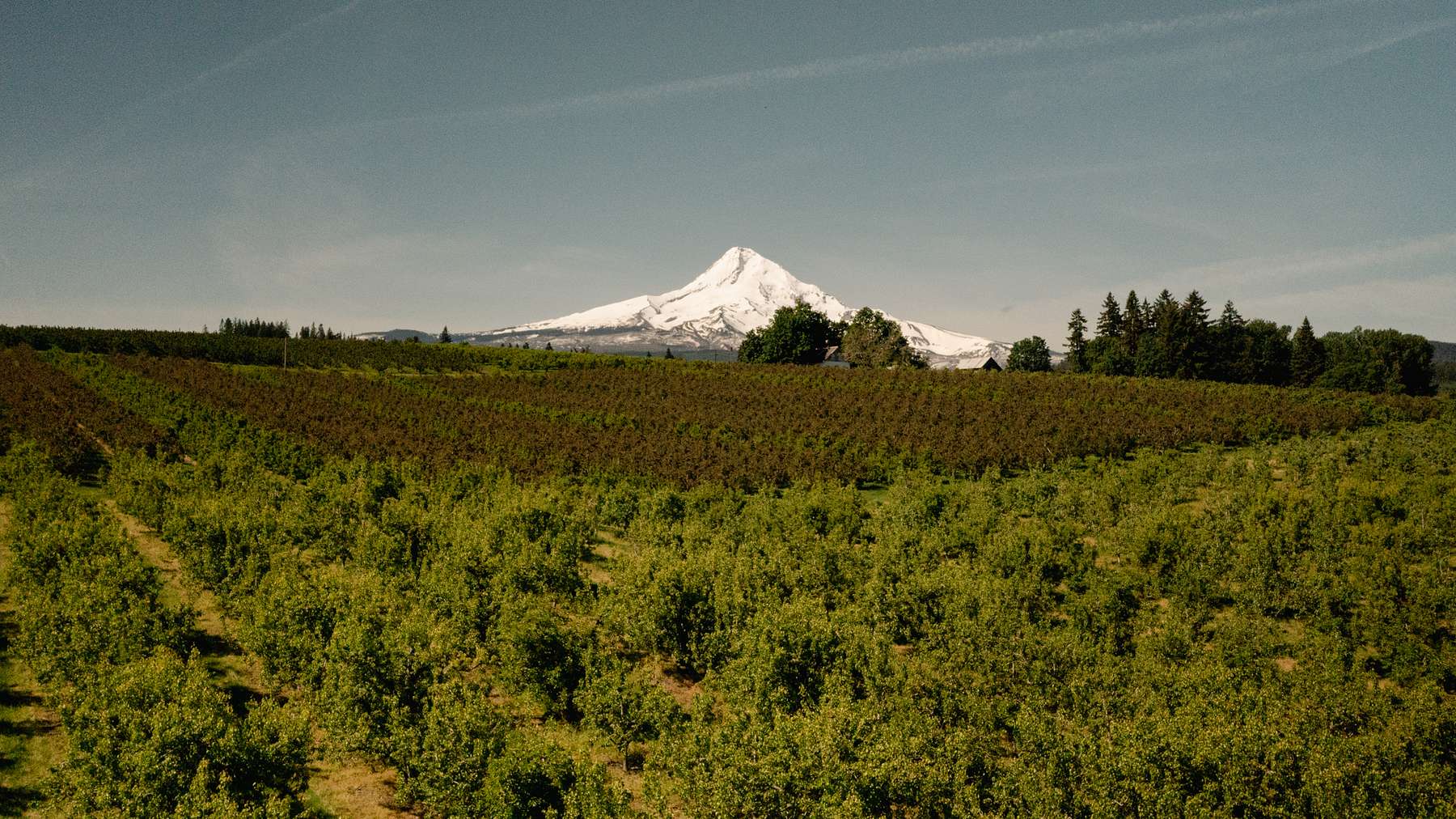 25 Acres of Recreational Land for Sale in Mount Hood, Oregon