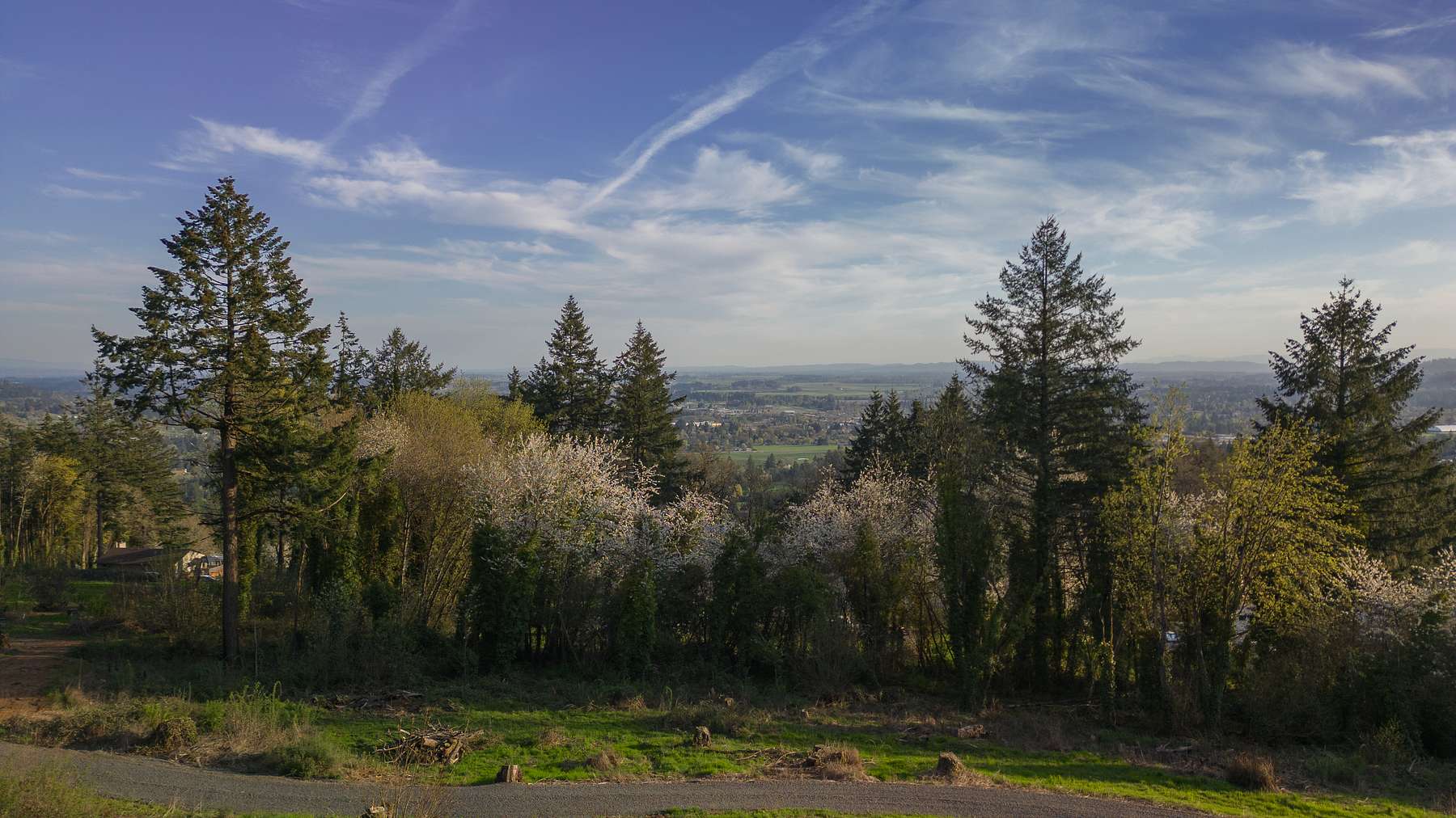 8.9 Acres of Improved Land for Sale in Newberg, Oregon