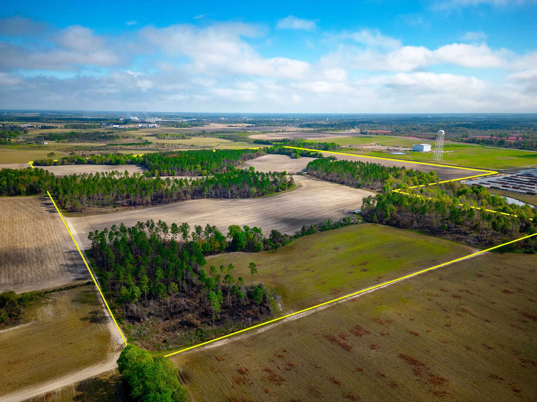 161.952 Acres of Recreational Land & Farm for Sale in Cordele, Georgia