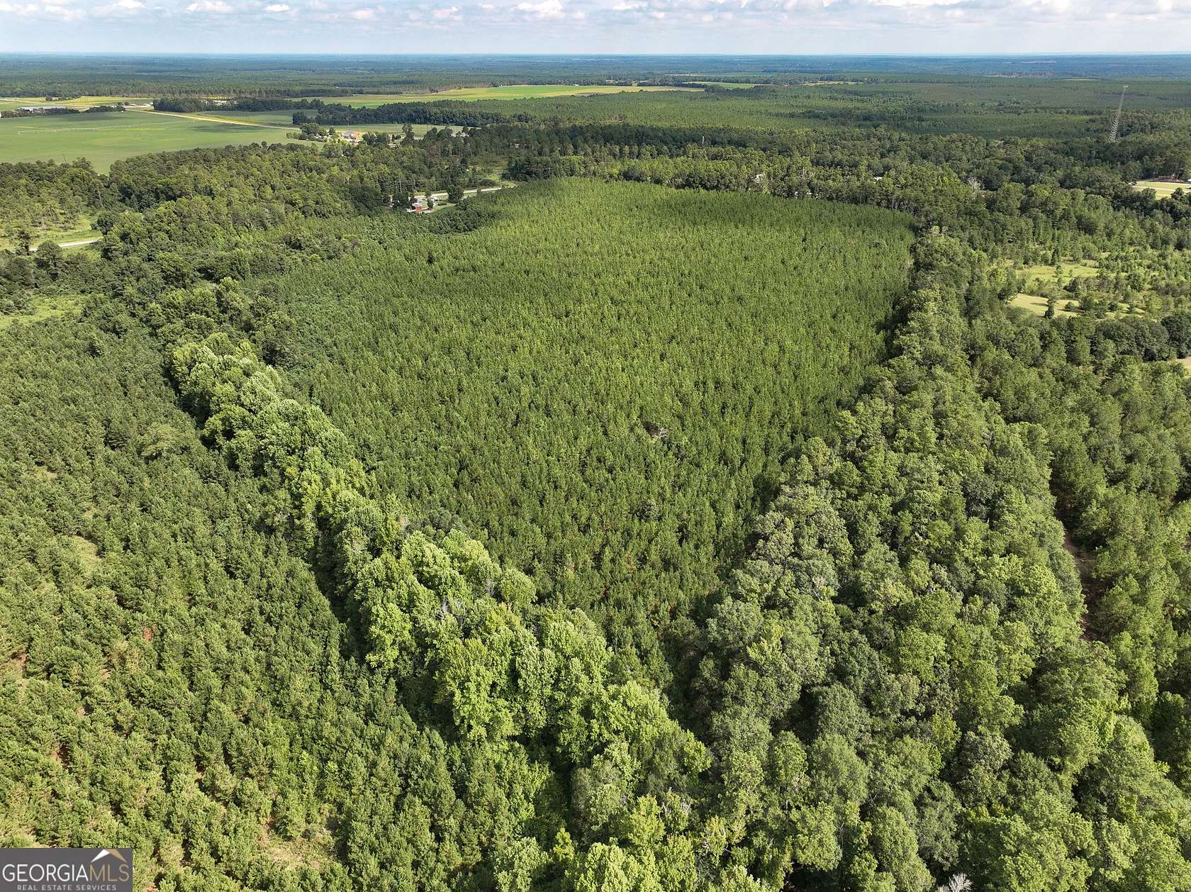 133.47 Acres of Recreational Land & Farm for Sale in Sardis, Georgia