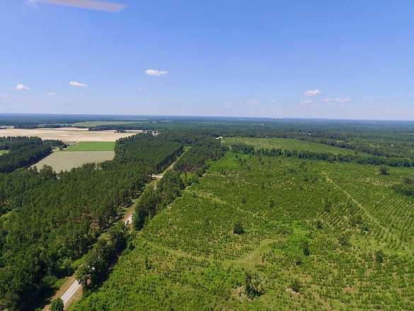 133 Acres of Recreational Land & Farm for Sale in Sardis, Georgia