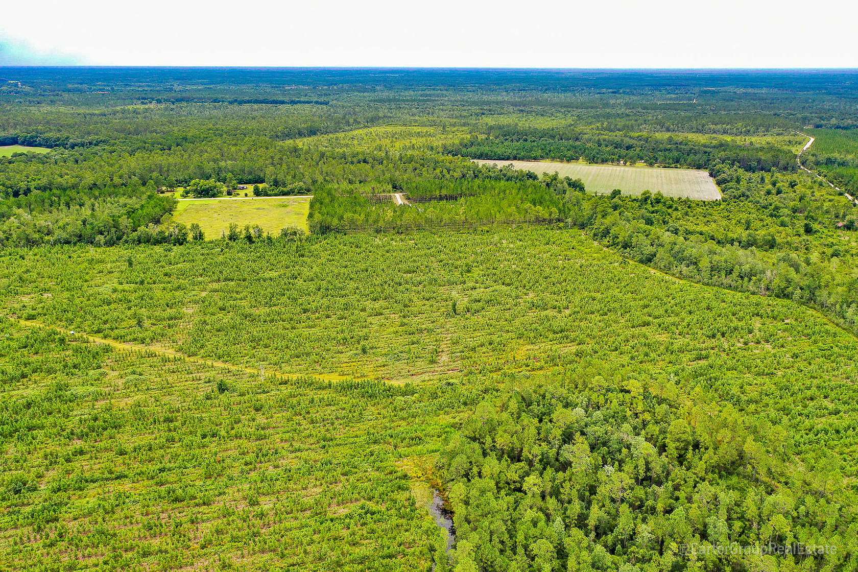 58 Acres of Recreational Land & Farm for Sale in Waycross, Georgia