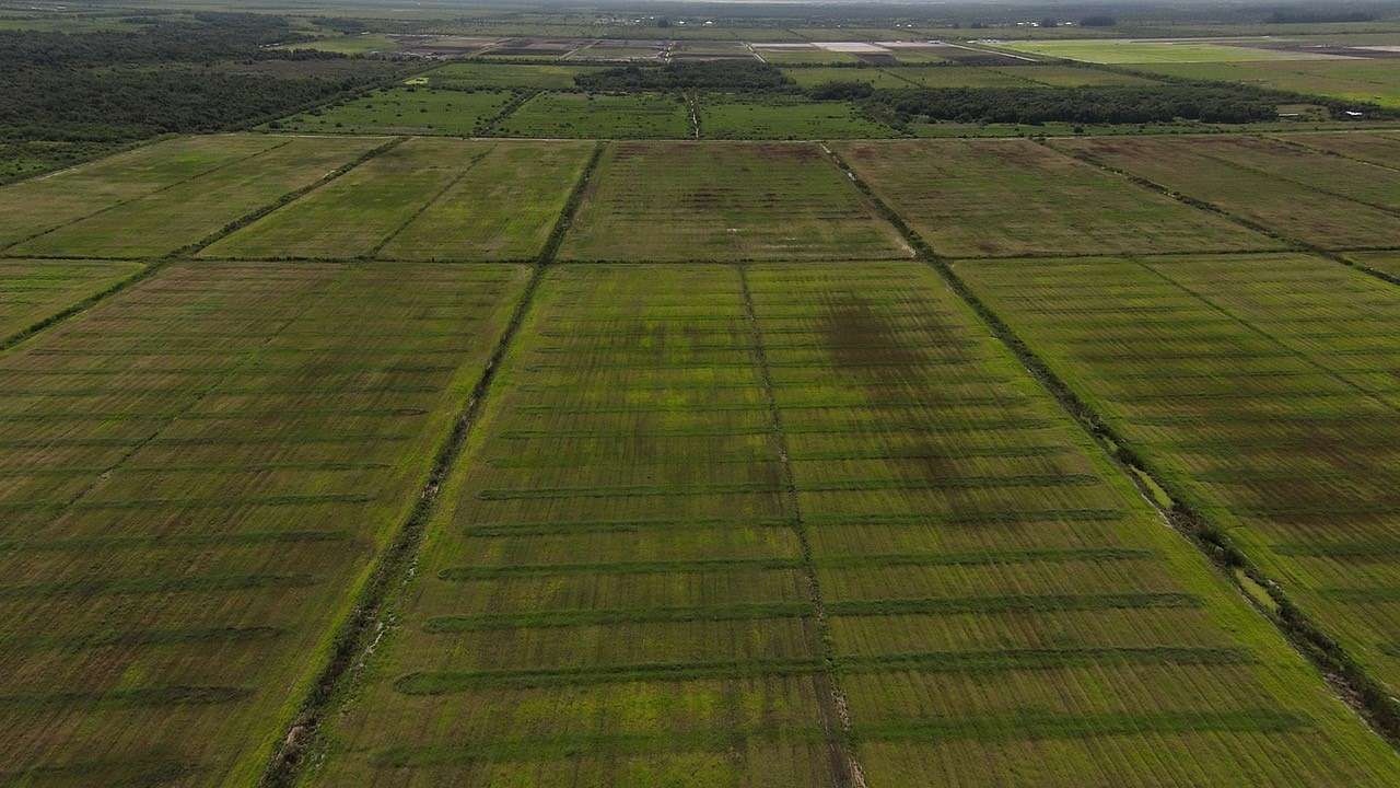 389 Acres of Recreational Land & Farm for Sale in Fort Pierce, Florida