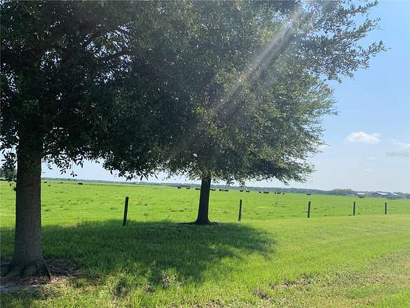 60 Acres of Recreational Land & Farm for Sale in Okeechobee, Florida