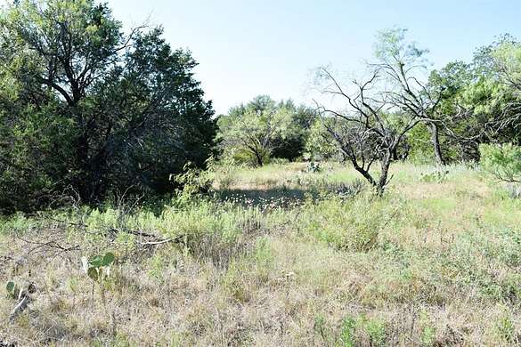 20 Acres of Land for Sale in Breckenridge, Texas