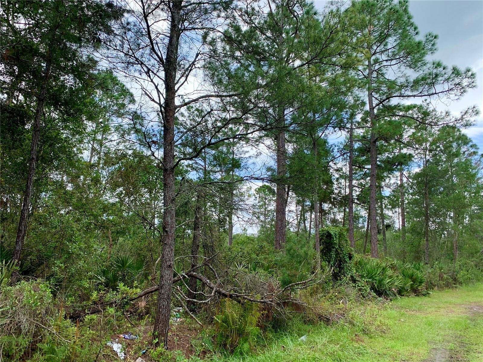 0.11 Acres of Residential Land for Sale in Paisley, Florida