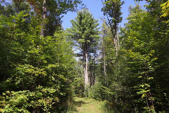 45.5 Acres of Recreational Land for Sale in Stratford, New York