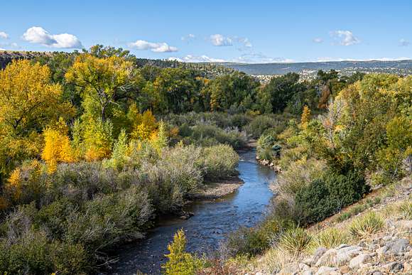 317 Acres of Improved Recreational Land for Sale in La Jara, Colorado
